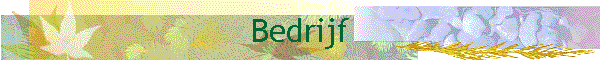 Bedrijf