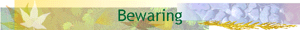 Bewaring