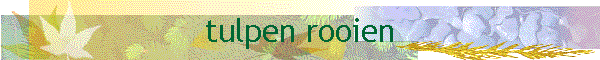 tulpen rooien