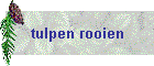 tulpen rooien