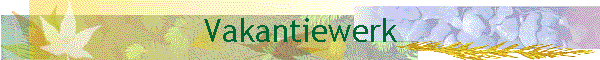 Vakantiewerk