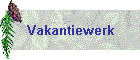 Vakantiewerk